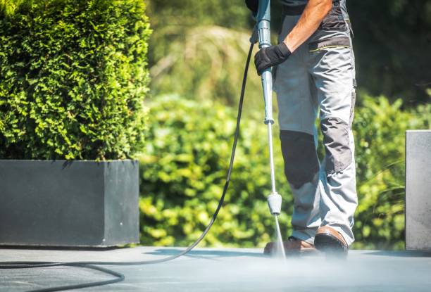 Best Building Exterior Washing  in , NV